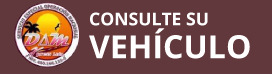 Consulte su vehículo